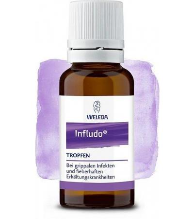 Infludo Tropfen 50 ml