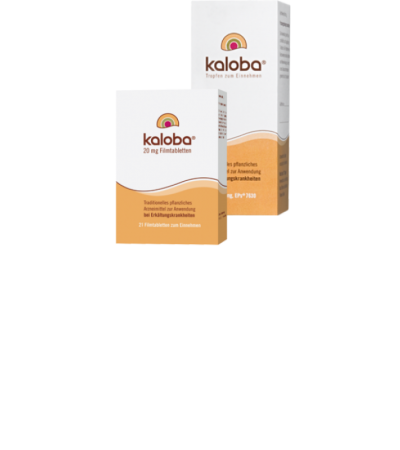 Kaloba Filmtabletten 20mg 21 Stk.